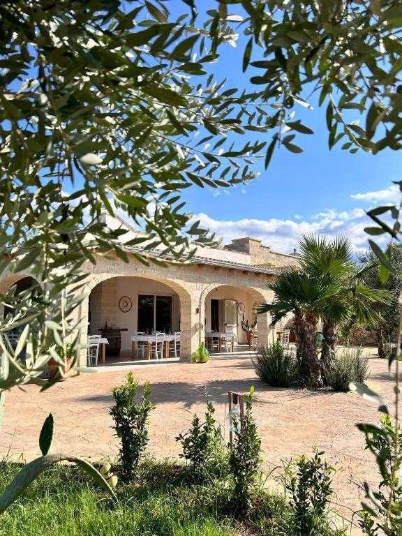 Relais Tenuta Campì seen through the olive trees